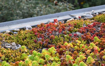 the cost of Turn green roof installation